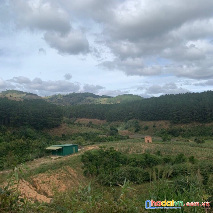 Cần tiền bán gấp đất rộng view đẹp tại tà nung, đà lạt 10730m2 giá tốt chỉ có 11.5 tỷ