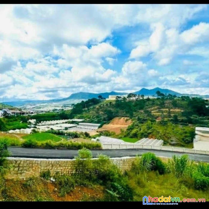 Bán gấp đất biệt thự view thoáng đường phước thành, đà lạt 317m2 giá 9.2 tỷ