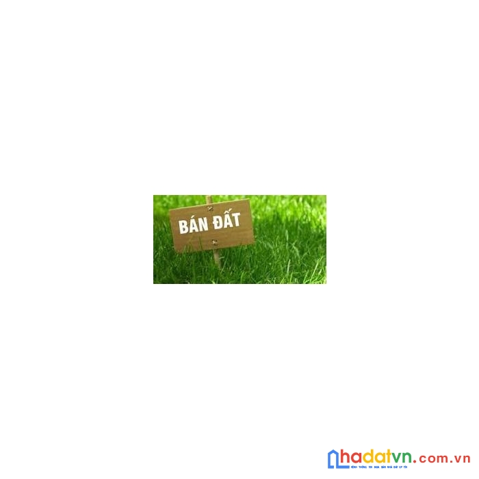 Chính chủ cần bán lô đất tại xã nghĩa thịnh – huyện nghĩa hưng – tỉnh nam định.