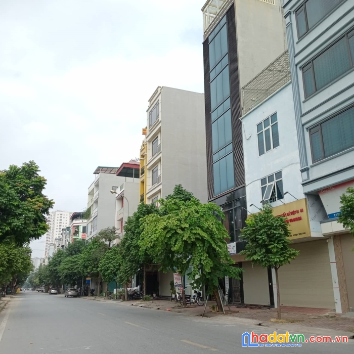 Bán đất tái định cư kiến hưng, hà đông, 62m2, mt5.5m, đông nam giá 6.5 tỷ