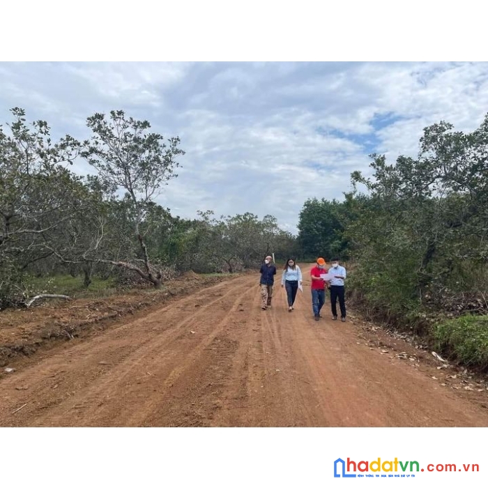 Bán đất tân hưng hớn quản bình phước giá rẻ sổ sẵn