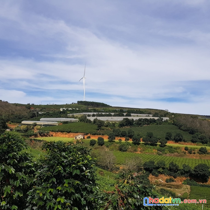 Cần bán gấp đất view đẹp tại xuân trường, đà lạt 5000m2