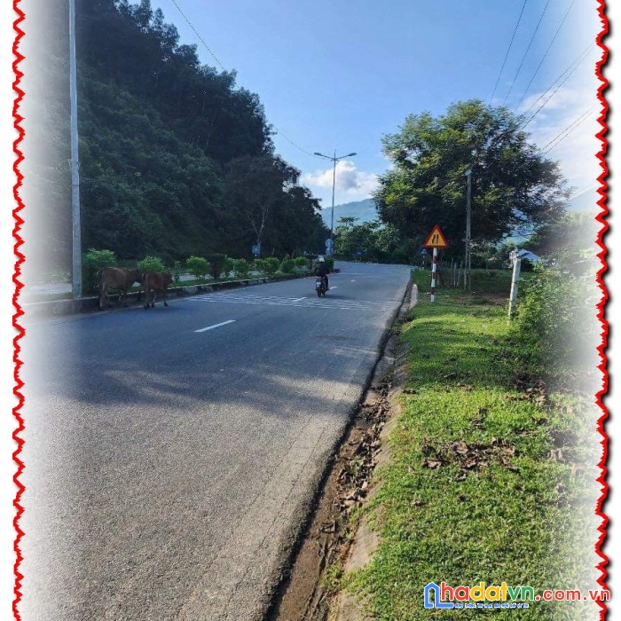 Đất mt ql27c liên sang, khánh vĩnh giá kẹt 4tr/m² ~ 1 tỷ 625tr