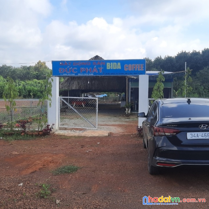 Chính chủ bán lô đất ấp đồng chắc, xã tân hòa, huyện đồng phú, bình phước