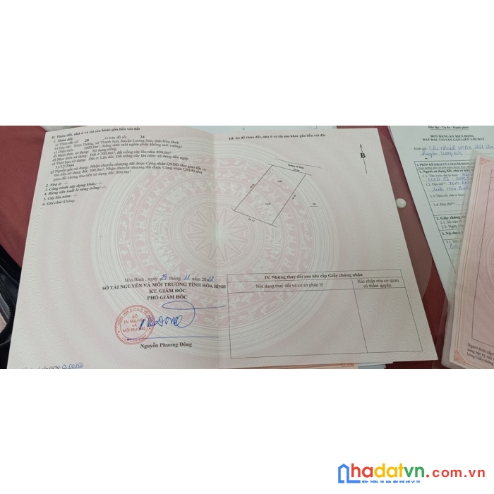 Cắt lỗ bán gấp trả nợ 1000m2 có 200m2 ont sổ hồng giá nhỉnh 800tr