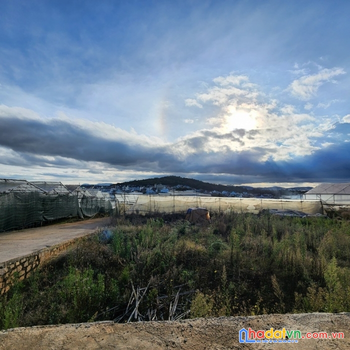 Kẹt vốn bán gấp đất nền biệt thự tại thái phiên, đà lạt 245m2 giá chỉ có 5.3 tỷ