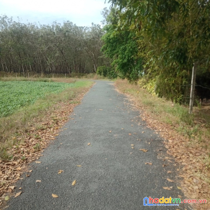 Bán nhanh lô đất tại dương minh châu, tây ninh