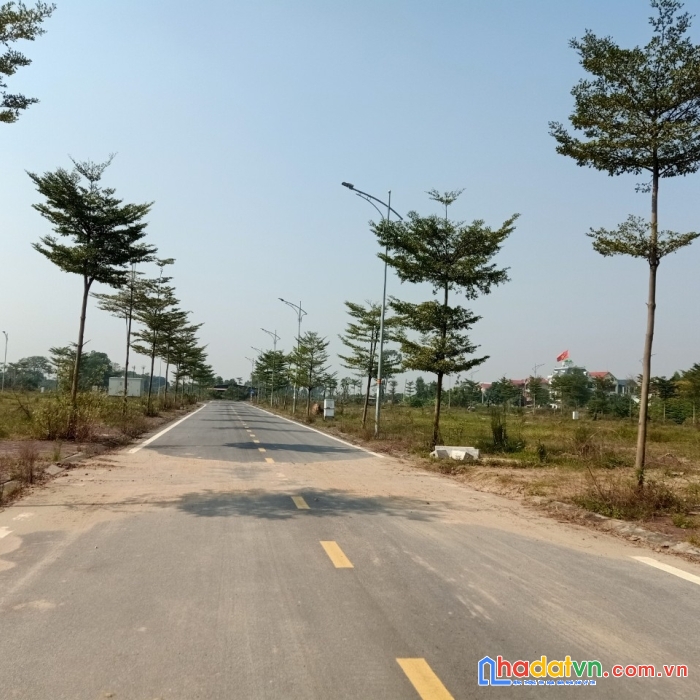 Nhập khẩu ngay lô dãy lk5 dự án dabaco, thuận thành, bắc ninh, giá 2.6x tỷ