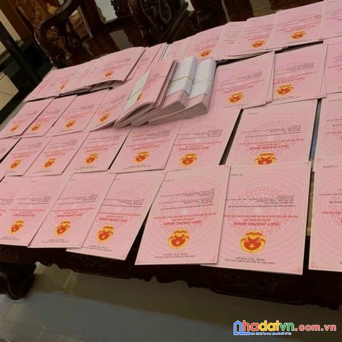 Trao tay giá trị không gian xanh 