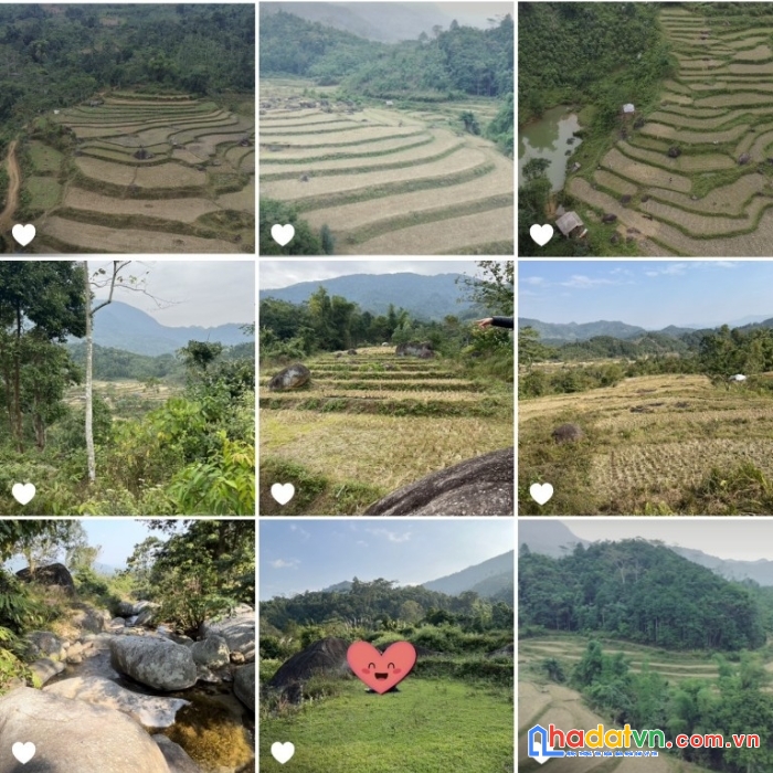 Tìm nhà đầu tư cho 50ha du lịch . trải nhiệm, nghỉ dưỡng.