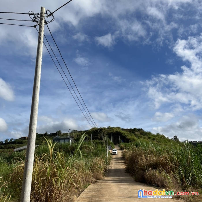 Cần bán gấp trước tết 530m2 đất sổ riêng view thoáng giá chỉ 1.8 tỷ tại xuân thọ, đà lạt