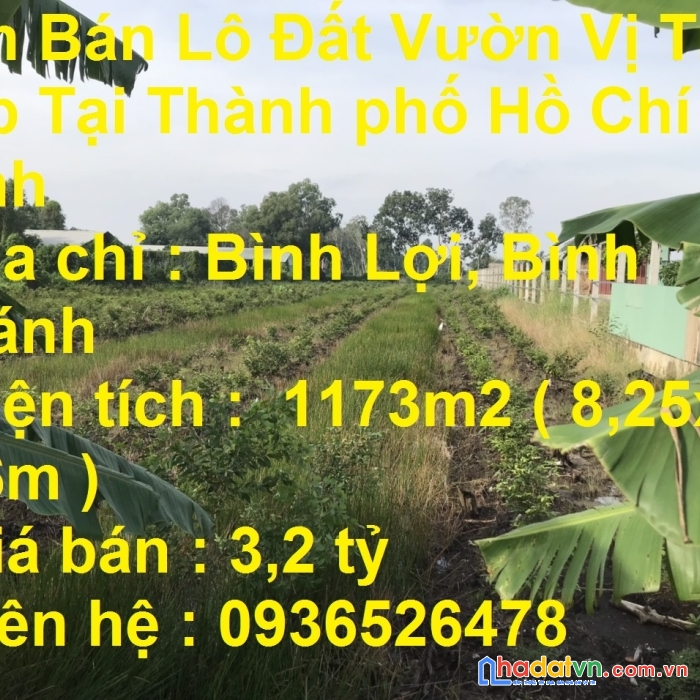 Cần bán lô đất vườn vị trí đẹp tại thành phố hồ chí minh