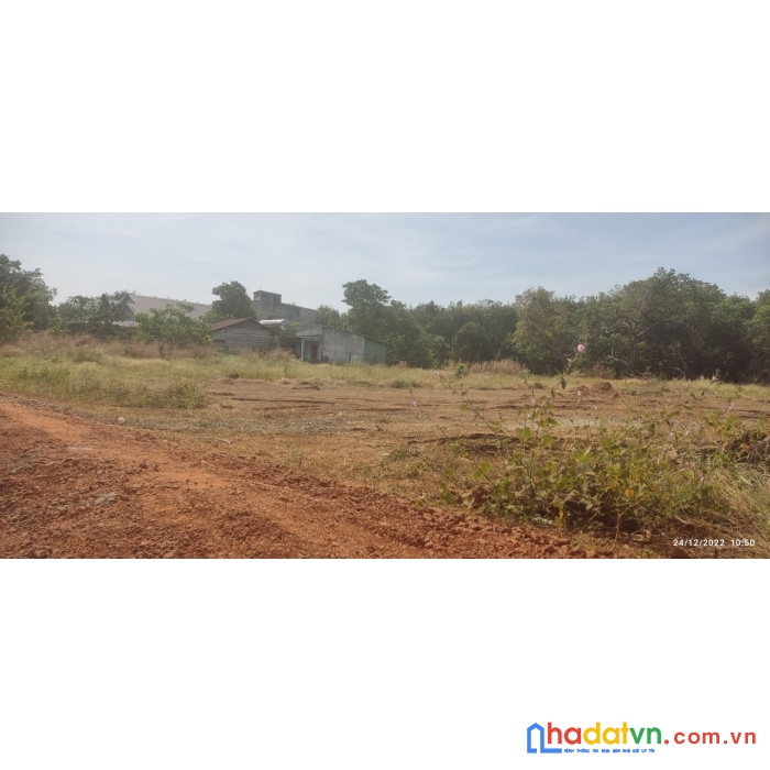 Chỉ 290tr để đc miếng đất trung tâm huyện 250m2 (100m tc )