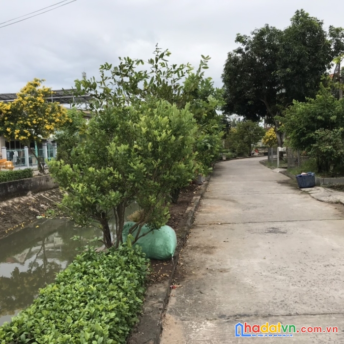 Bán nền thổ cư 154m² ngay trung tâm phường 1  tp sa đéc  đồng tháp