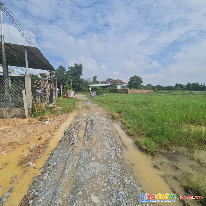 Đất thanh phước gò dầu tây ninh