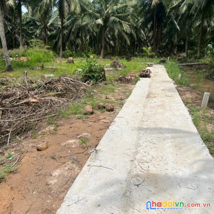 Cần bán nhanh lô đất vị trí đẹp tại xã thới lai - bình đại - bến tre