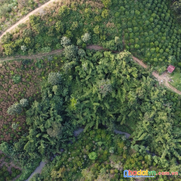 Chủ ngộp: bán toàn bộ 7383,4m2 đất nông nghiệp ,tại krông nô, đăk nông, giá 400tr
