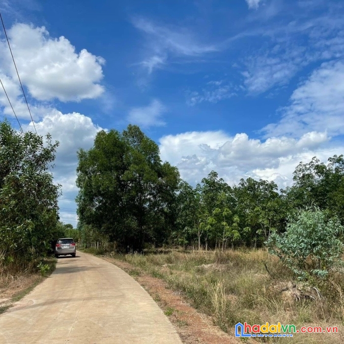 Cần  bán 7hec 7  suối cao xuân lộc giá ngộp giá rẻ