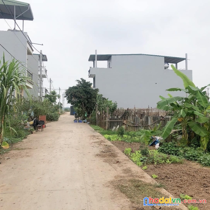 Cực hiếm, cần bán đất lại yên, hoài đức 145m đường 40m chỉ 10,x tỷ