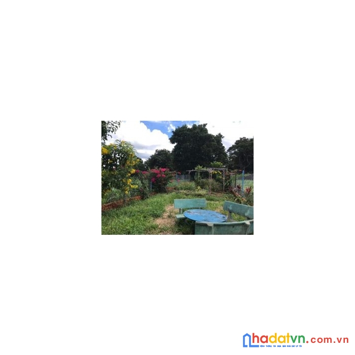 Cần bán đất vị trí đẹp tại tỉnh đắk lắk