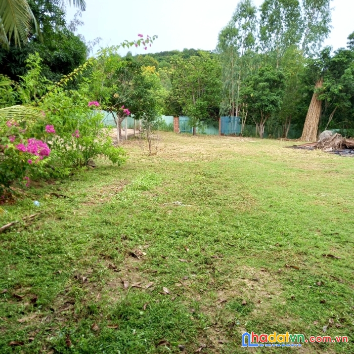 Chính chủ cần ra nhanh đất nền ven biển bãi rạng – phú yên - có thổ cư