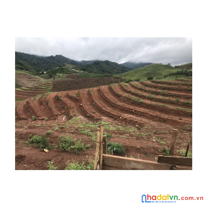  bán đất nền mộc châu 10ha khu vực chiềng sơn ,sổ sách rõ ràng