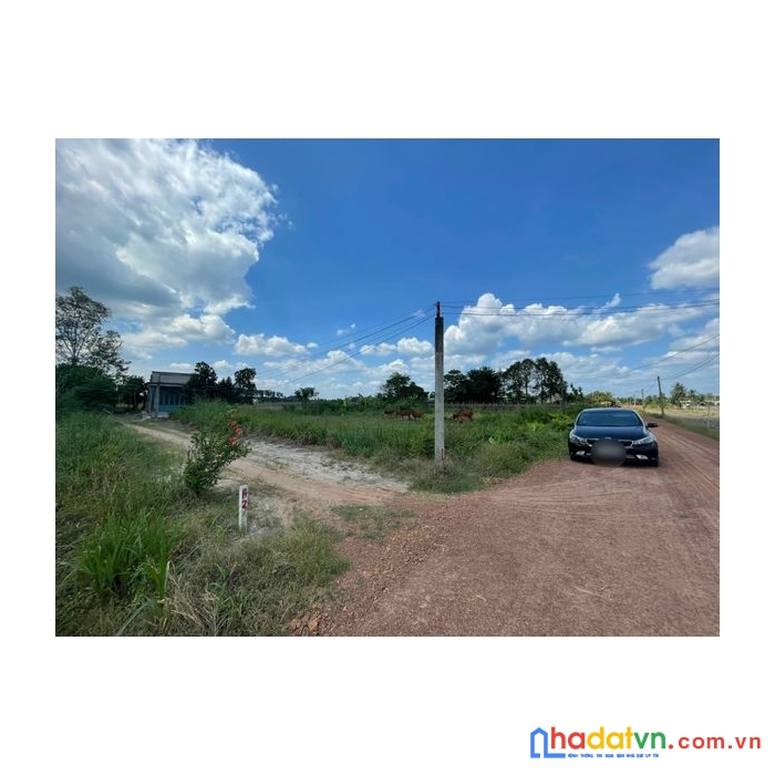 Bán đất tây ninh giá rẻ sổ sẵn huyện tân châu