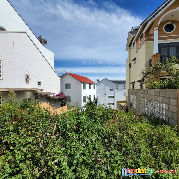 Bán gấp đất biệt thự đường trịnh hoài đức, đà lạt 250m2 giá 11.5 tỷ