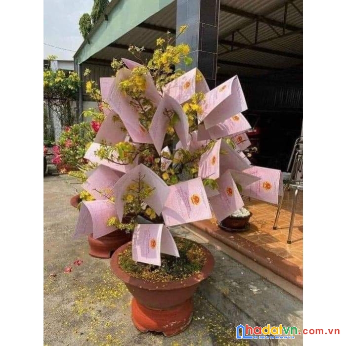 Nhà bán chính chủ 95m²