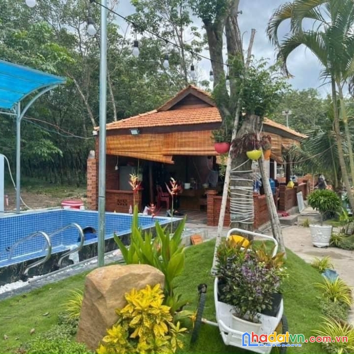 Bán gấp nhà gỗ kèm hồ bơi nghỉ dưỡng, 244 m sổ riêng chỉ 1,5 tỷ