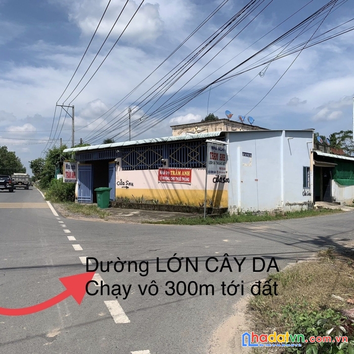 Cần bán đất thổ cư tại bàu đồn gò dầu