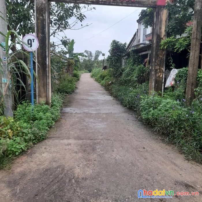 Còn sót lại 2 lô duy nhất tại xã quế châu, quế sơn, quảng nam. đã có bìa trong năm. cần tìm nhà