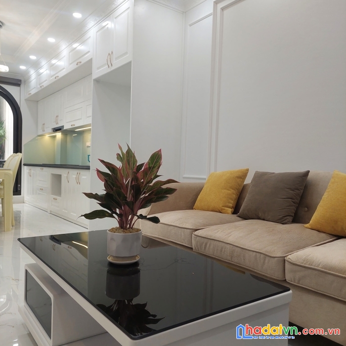 Bán đất phố lạc trung 50m ra phố mặt ngõ thông kinh doanh tốt ba gác né xe máy 85m chỉ 5.9 tỷ