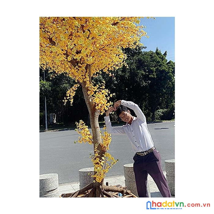 Nhà đất bàu bàng tân uyên bình dương