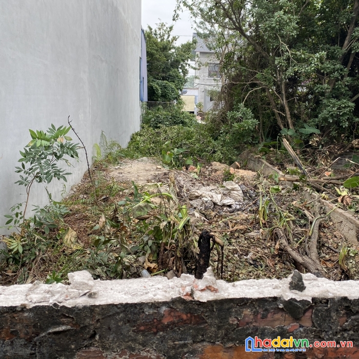Chỉ vài trăm triệu sở hữu ngay mảnh đất 41m² ở bắc hồng-đông anh-hà nội. đường thông oto đỗ cửa