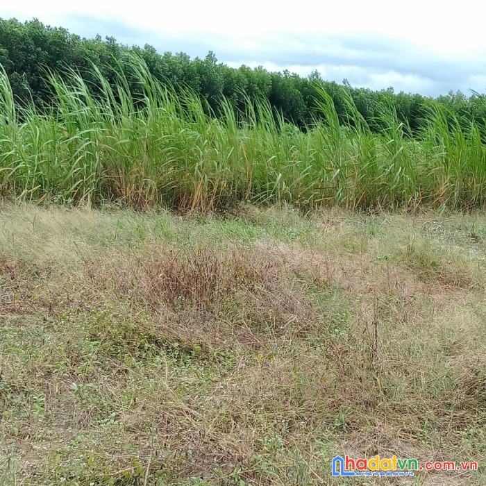 Chính chủ cần bán gấp 3 lô đất đẹp giá siêu đầu tư tại  sông hinh - phú yên