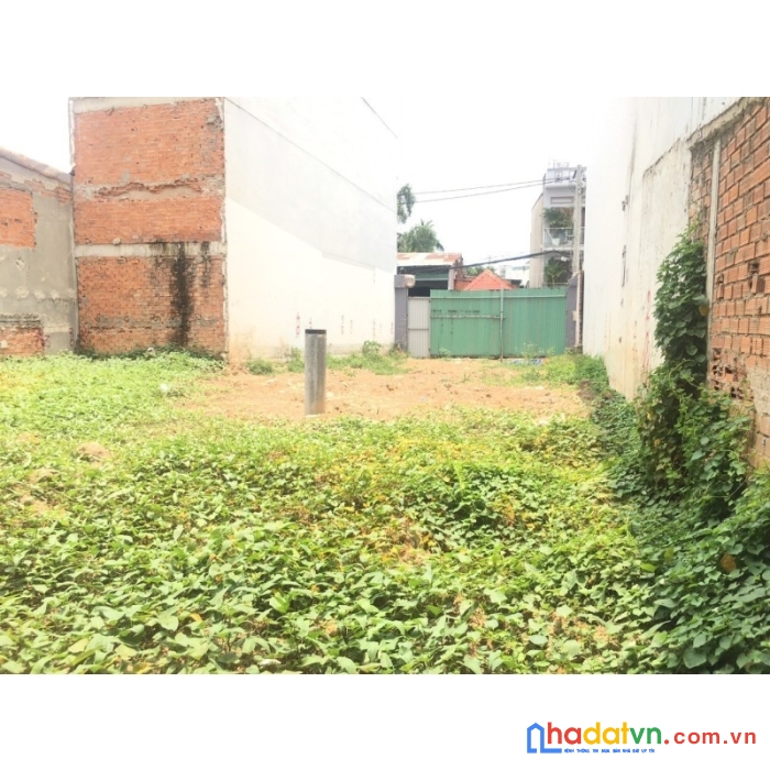 Bán gấp lô đát mặt tiền, phan huy ích, p15, q tân bình, 300m2, nhỉnh 71 tr/m.