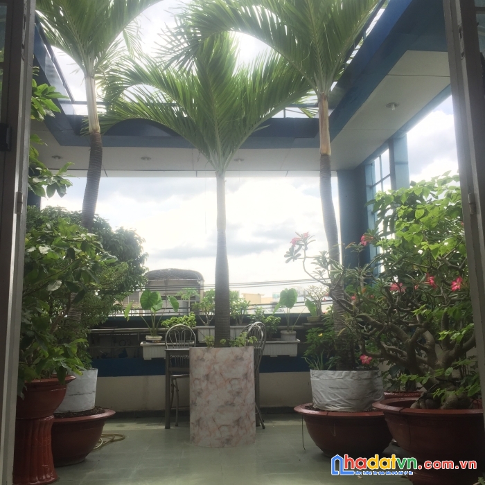 Mt cmt8 gần ngã tư bảy hiền 6x19 giá 19 tỷ