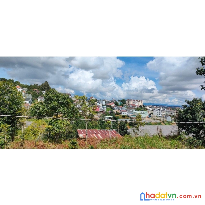 Bán đất xây dựng đường nam hồ đà lạt 275m2 chỉ 8 tỷ