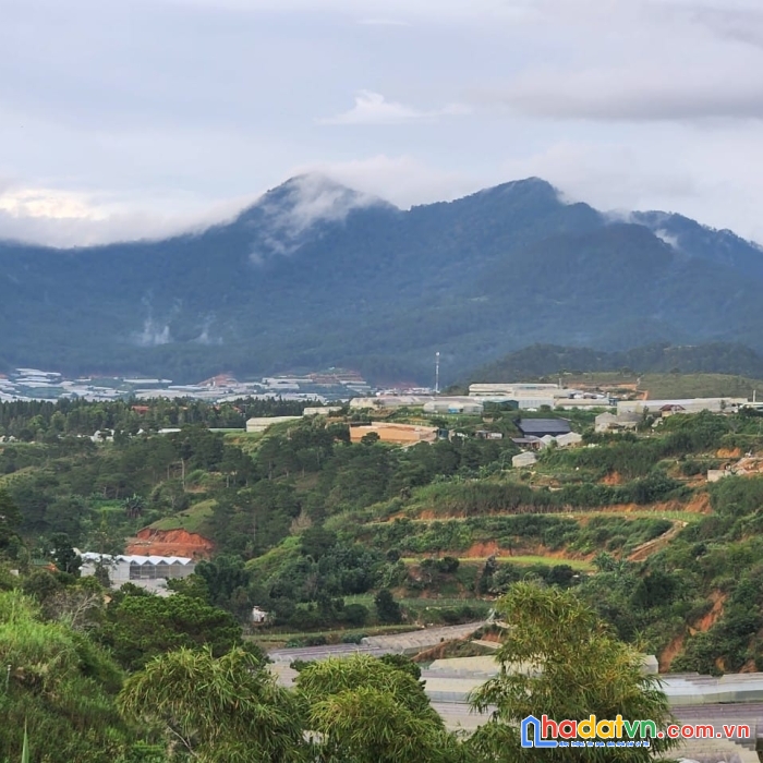 Bán gấp đất biệt thự rộng view đẹp đường xô việt nghệ tĩnh, đà lạt 610m2 giá tốt chỉ 16.5 tỷ