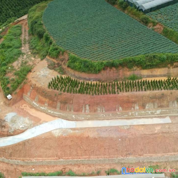 Bán gấp đất giá rẻ view đẹp tại xuân thọ, đà lạt 500m2 giá chỉ 1.7 tỷ