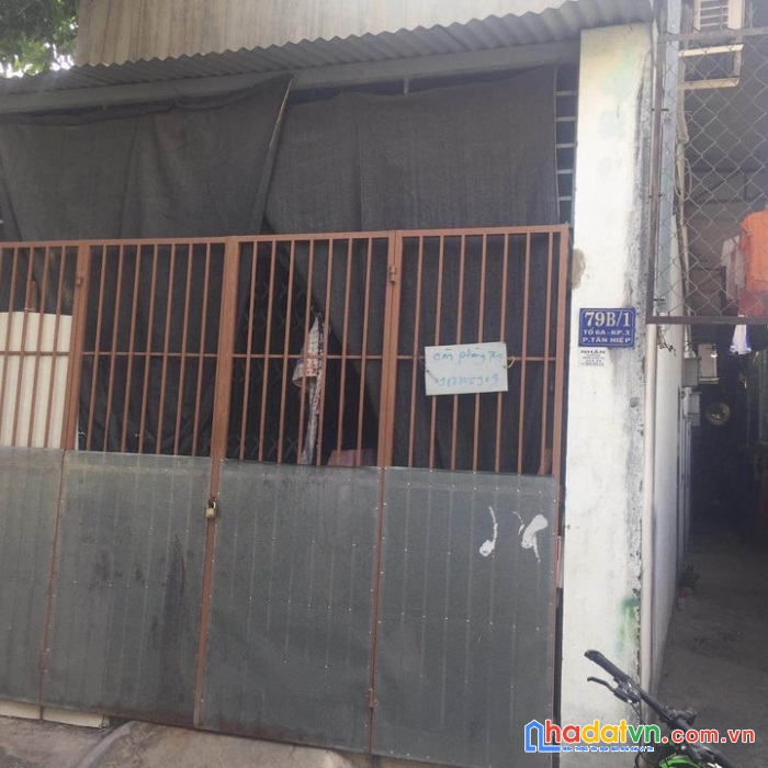 Chính chủ cần tiền bán gấp dãy phòng trọ đang kinh doanh