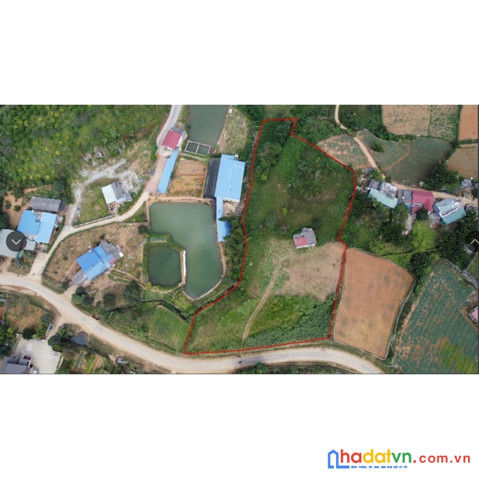  bán đất nền mộc châu ,thị trấn nông trường ,6000m2 sổ đỏ rõ ràng