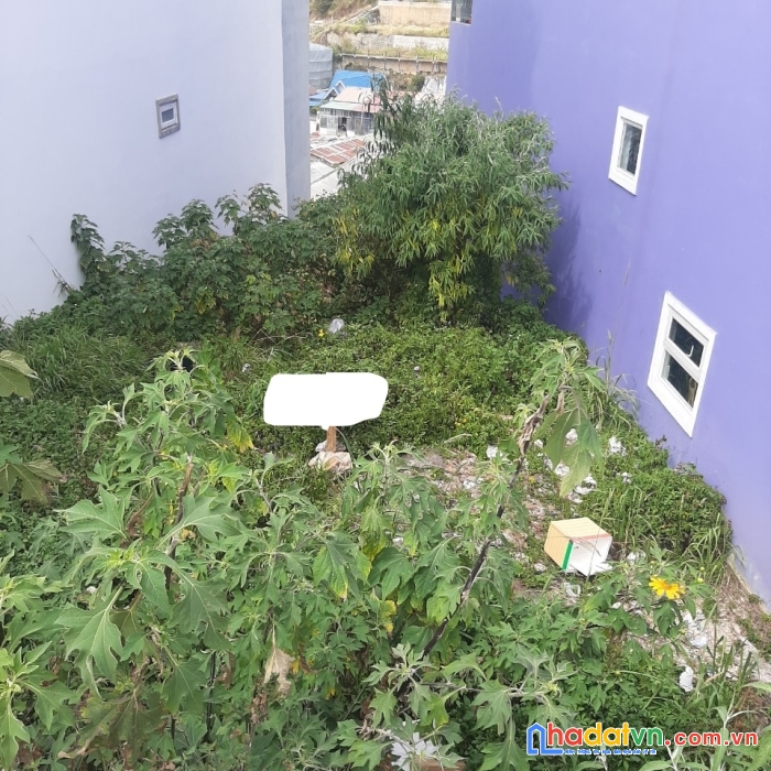 Cần bán gấp đất xd view thoáng kqh t21 an sơn, đà lạt 150m2 giá 6.5 tỷ