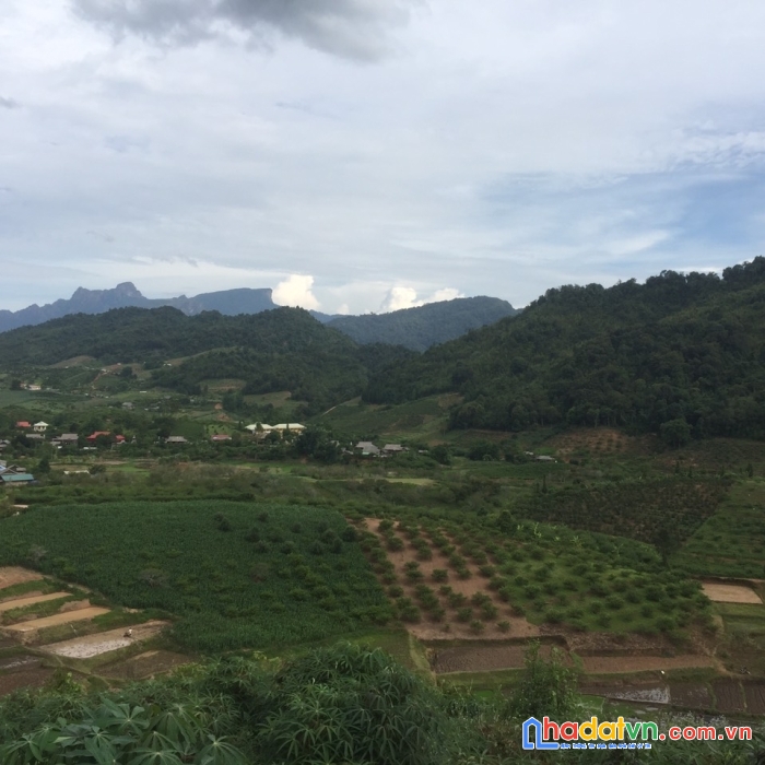  bán đất nền mộc châu ,xã chiềng sơn 3179m2 sổ sách rõ ràng