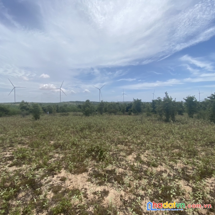 Bán lô đất diện tích to nhất thành phố biên hòa