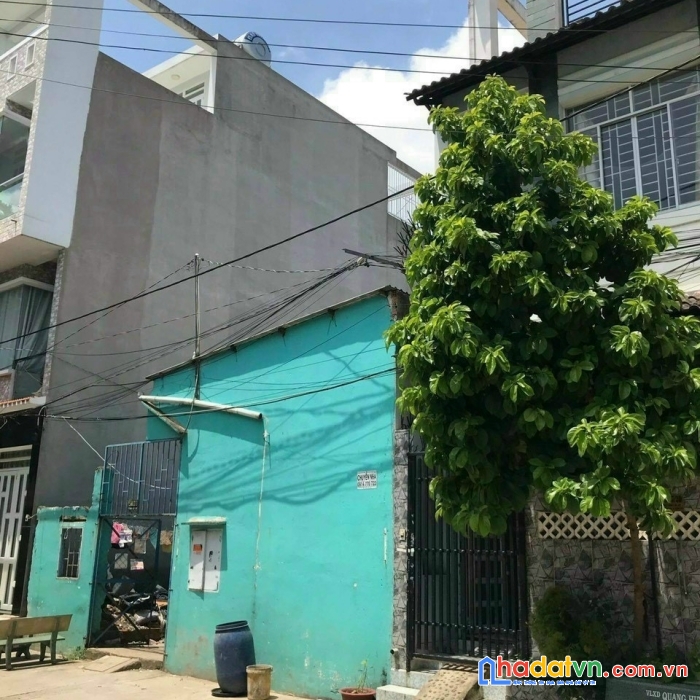 Chủ ngộp bán gấp trước tết 56m2 tỉnh lộ 10 bình tân khu vực xây 4 tầng giá chỉ 2 ty2