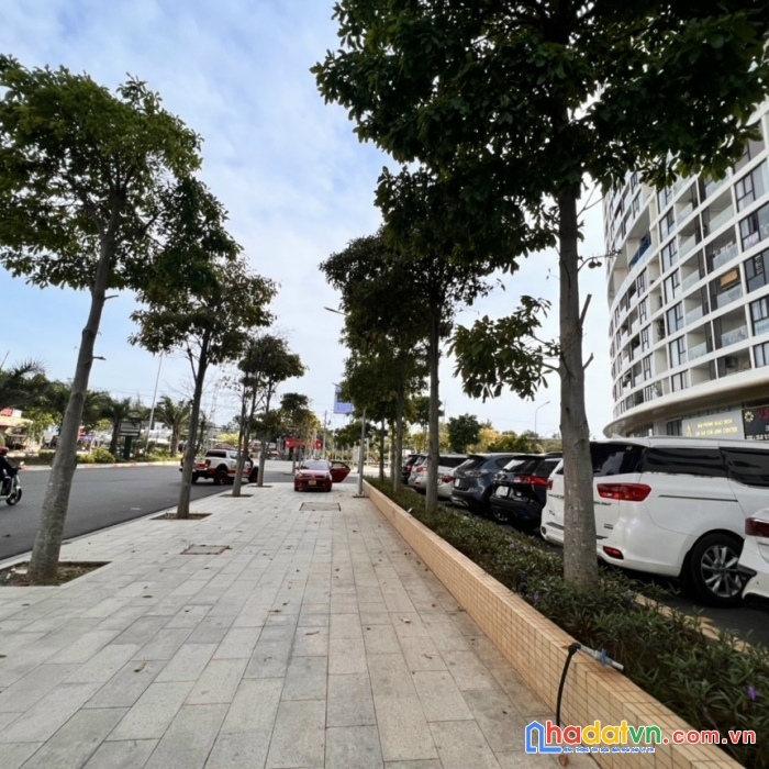 3 lý do mùa nhà trước tết 2023. bán biệt thự rẻ 0937471568