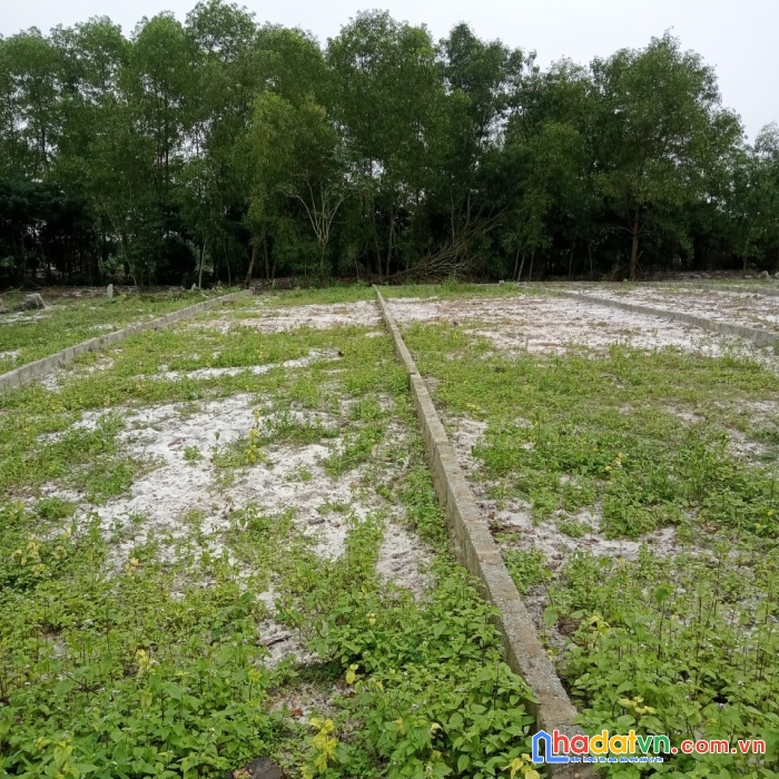 Chính chủ cần bán đất đẹp vị trí đắc địa tại: phong điền - huế