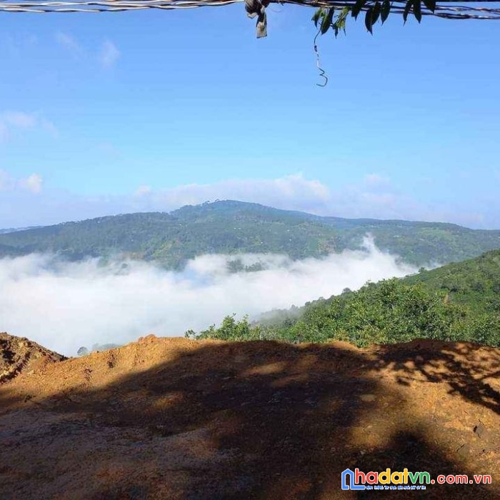 Bán đất sổ riêng nn mặt tiền đường quốc lộ 20 trạm hành, đà lạt, lâm đồng